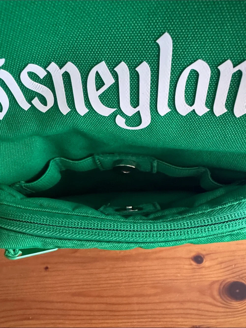 Disney Disneyland Resort Green Icon Mania Small Backpack
